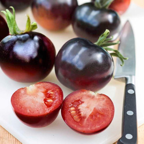 Indigo Rose black tomato seeds, pack of 20