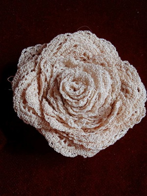 Beige lace 3.70 m length new
