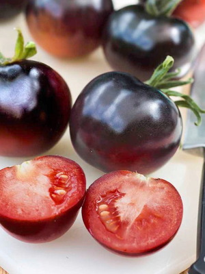 Indigo Rose Russian Black Tomato Seeds, pack of 20