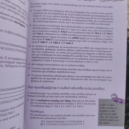 Biology Study Guide for 3rd Grade Lyceum, Nota Lazaraki, Poukamisas