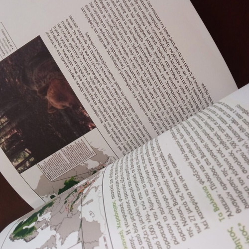 The Brown Bear used, Greek language book