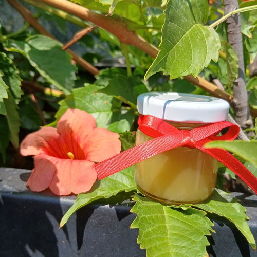 Homemade beeswax ointment with 100% beeswax