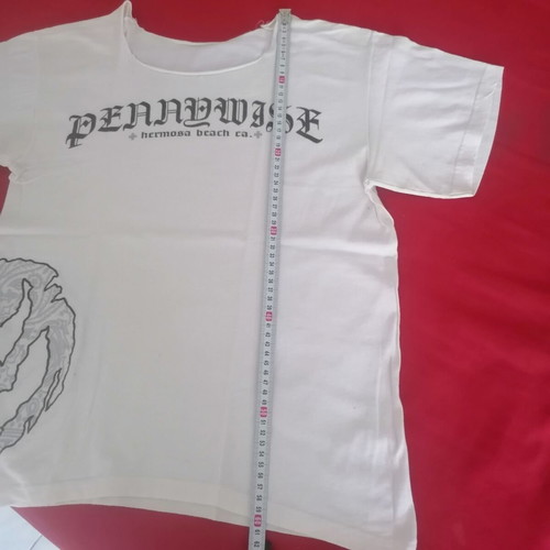 Pennywise collectible t-shirt, authentic punk-rock band design