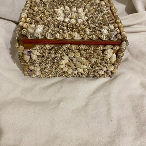 Jewelry storage box new, shell with beige velvet