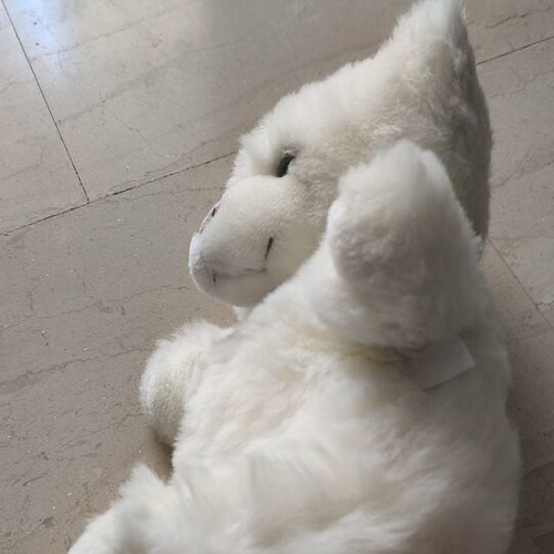 White plush teddy bear used, 30cm height, vintage style