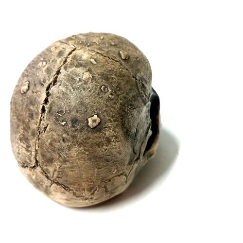 Decorative Ceramic Skull Stoneware Handmade