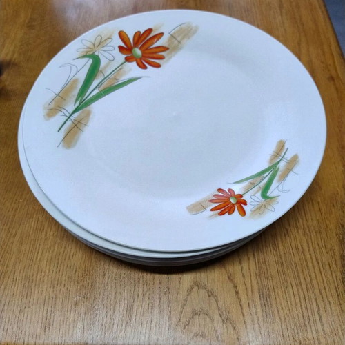 Shallow plates set of 2 with flowers used, 23 cm diameter