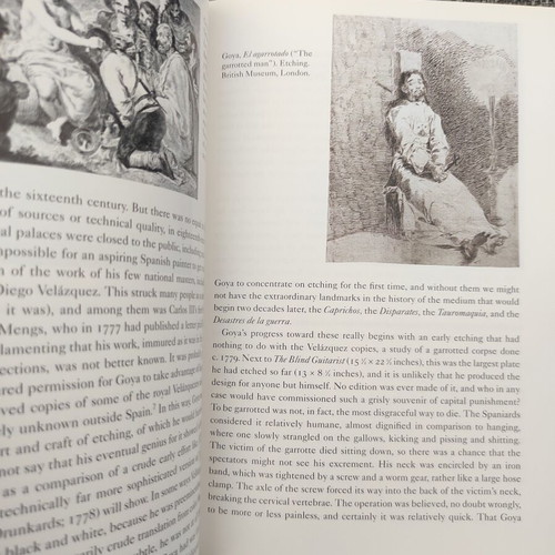 Goya by Robert Hughes book