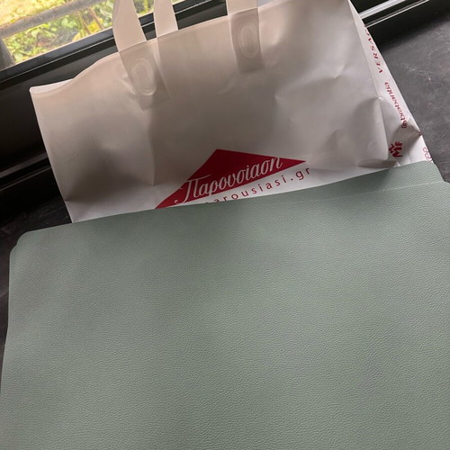 Mint leatherette placemats new, set of 2