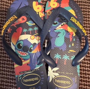 havaianas σαγιονάρες
