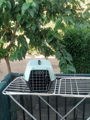 Pet Carrier like new with secure screw connections
