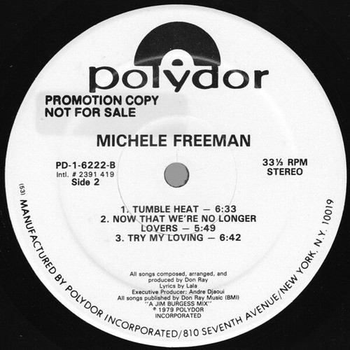 Michele Freeman vinyl record used, electronic genre