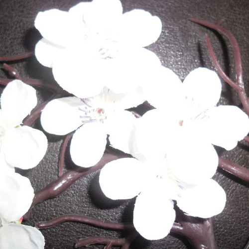 White orchid and black plastic vase shaped like female bust