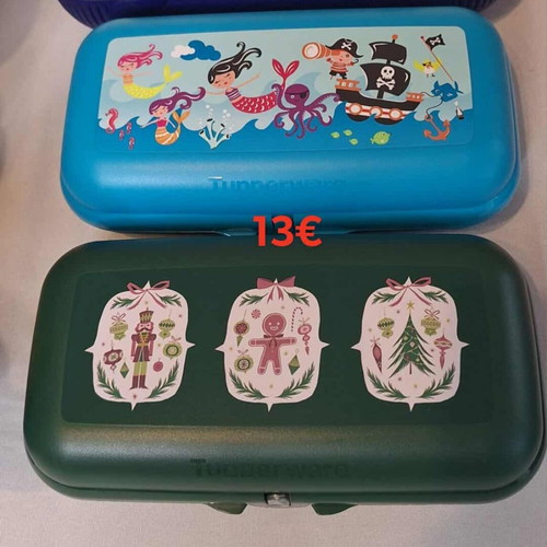 Tupperware Twin Large Containers new