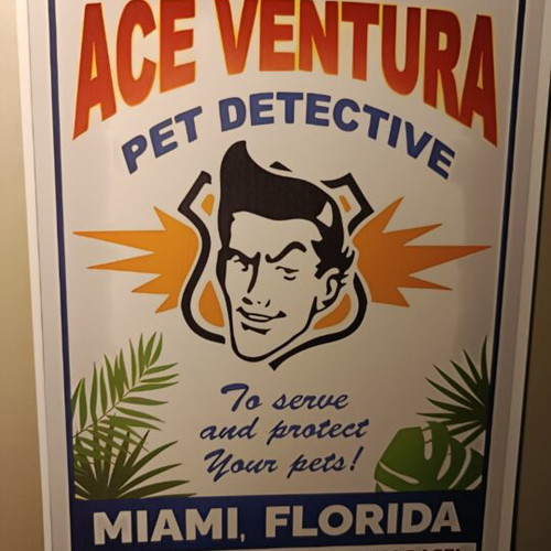 Ace Ventura Pet Detective A4 poster