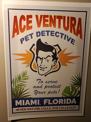 Ace Ventura Pet Detective A4 poster