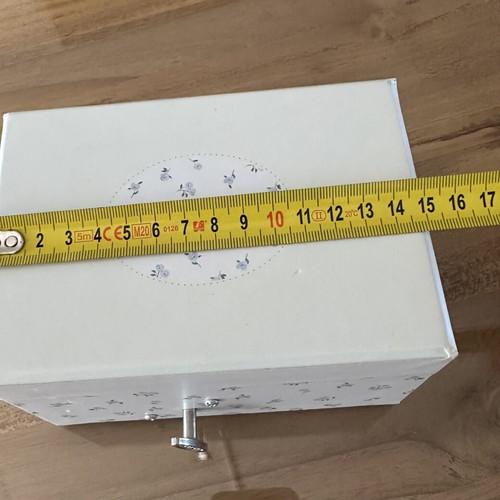 Zara Home Music jewelry box with revolving pig figure