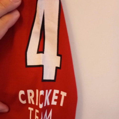 Japan Cricket Abrams Shirt like new, size large