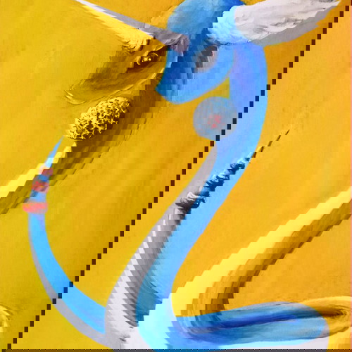 Dragonair, принт 50*70, масло върху платно