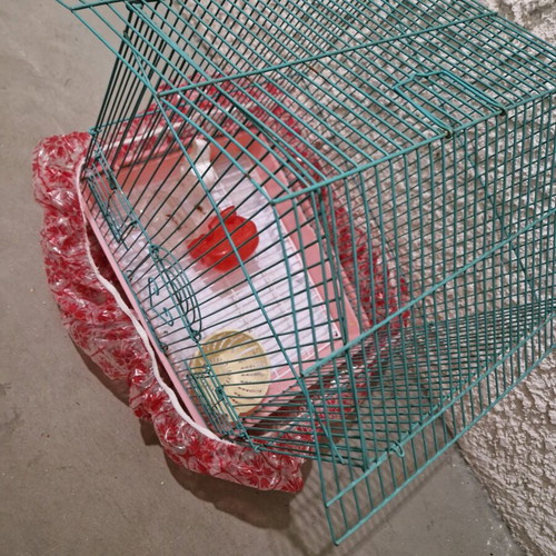 Birdcage for songbirds like new with all accessories