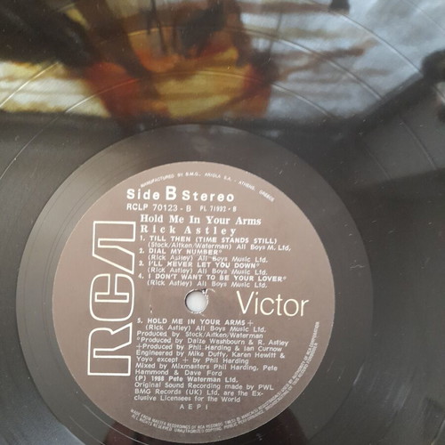Rick Astley Hold Me In Your Arms vinyl record used, pop