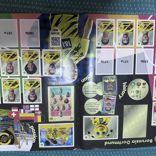 Panini Official Sticker Album 2021 used, partial completion
