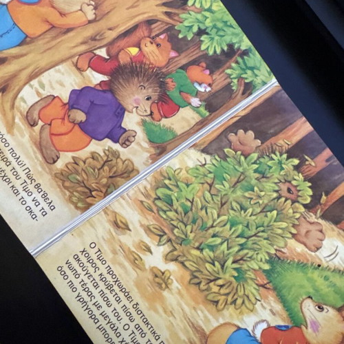 Children's book The Shy Little Bunny like new