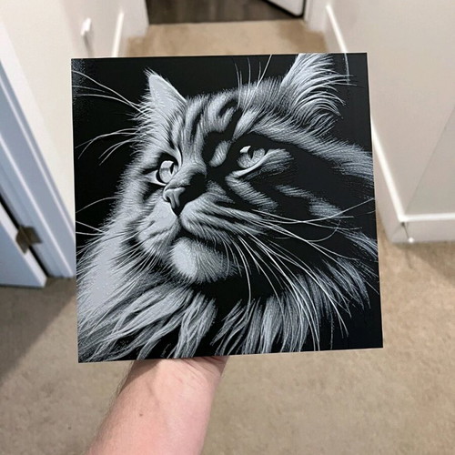 3D Cat Portrait Decorative Painting new