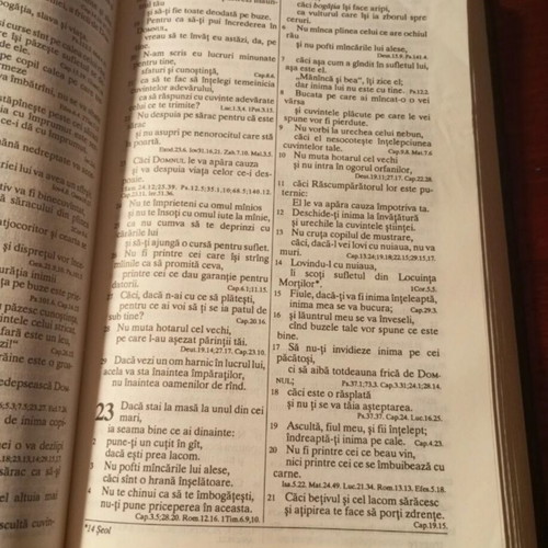 Catholic Bible like new, Greek language
