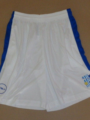 Hellas Softball National Team GSA training shorts, size Large