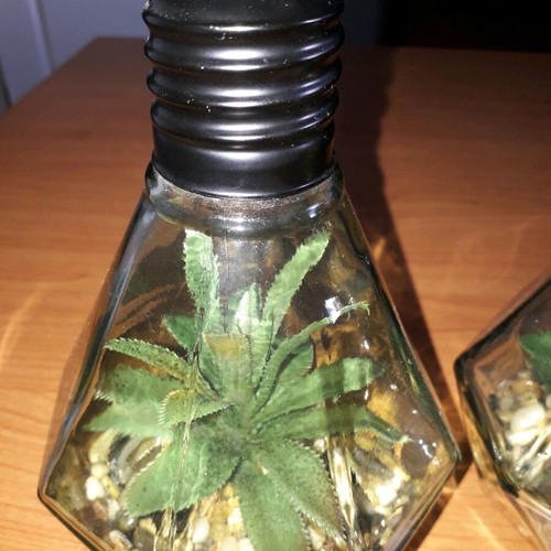 Decorative lighting like new with glass, pebbles and artificial plant