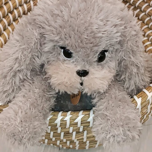 Handmade knitted puppy custom made