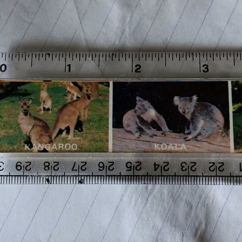 Australian ruler used with wildlife pictures