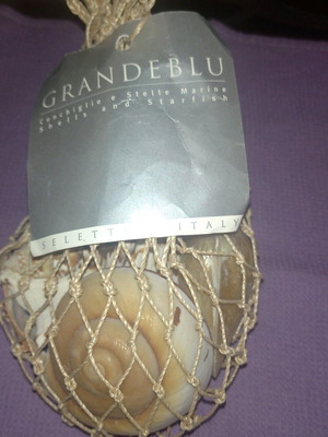 Grandeblue large decorative shells new