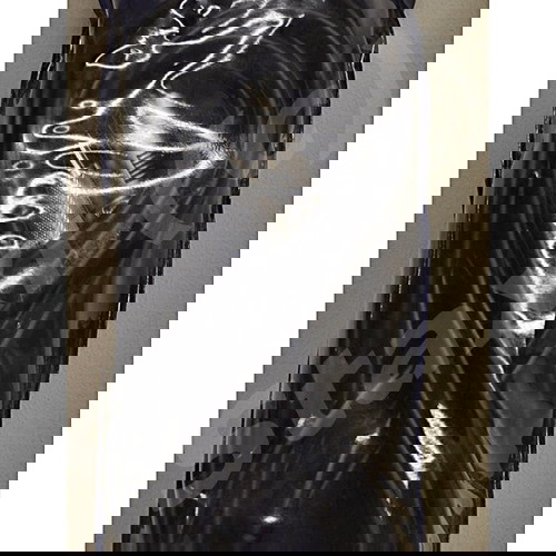 Καλώδιο μικροφώνου επαγγελματικό 6μ νέο