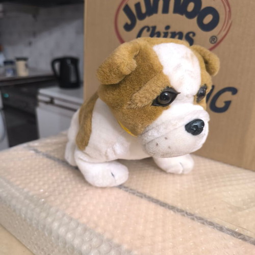 Saint Bernard plush dog like new