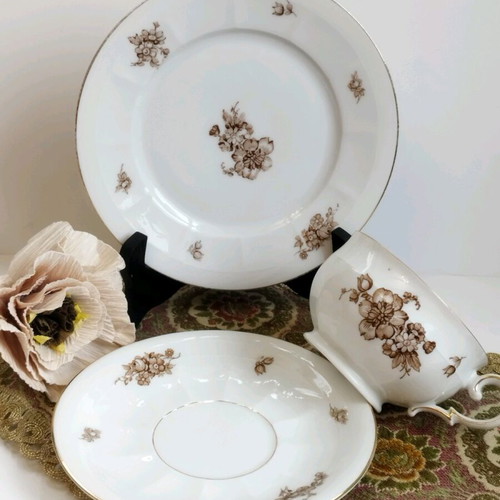 PT Tirschenreuth Bavaria antique coffee set used