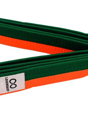 Legendary martial arts belt orange green new