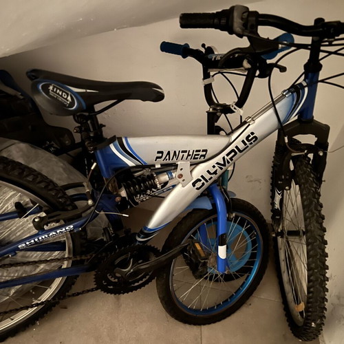 Panther Olympus mountain bike used, blue, front and rear suspension, gears