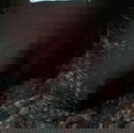  Αμάνικο γιλέκο, γούνινο συνθετικό, γυναικείο!