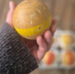 Vintage σετ ξύλινες μπάλες Bocce / Pétanque μεταχειρισμένο, 12 τμχ