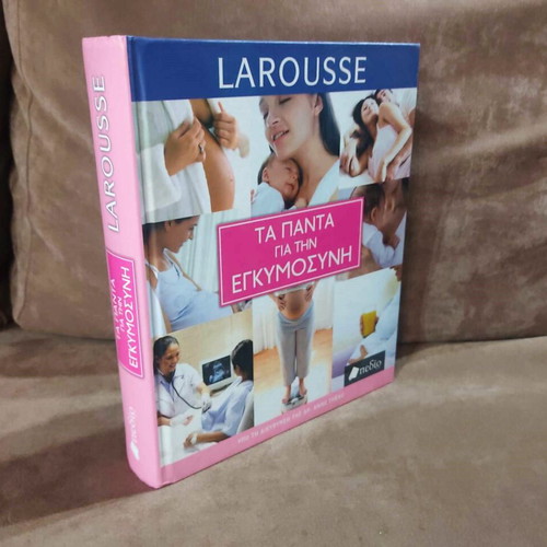 Larousse Everything About Pregnancy book like new
