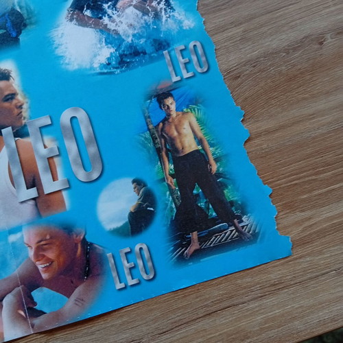 Leo poster 38x55cm like new, collectible