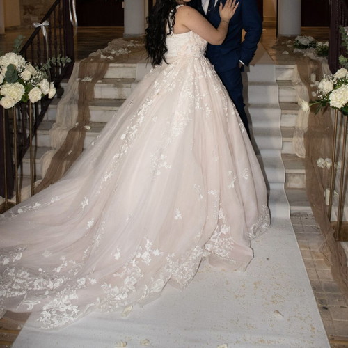 Romantic princess line wedding dress with 3D lace blush ivory like new