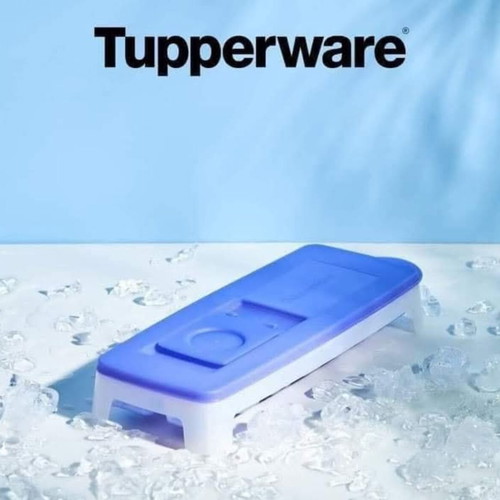 Tupperware Ice Cube Tray with Lid and Silicone Base new