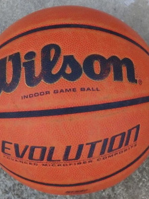 Wilson Evolution No 7 basketball ball like new