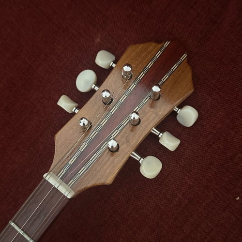 Handmade Tzouras new with picks and case