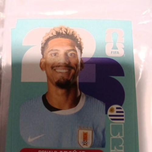 Panini FIFA World Cup 2026 Sticker like new