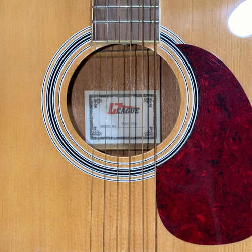 League MAG850 Acoustic Guitar like new