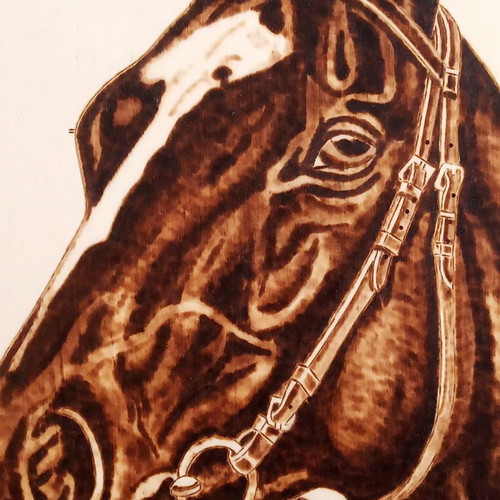 Horse portrait pyrography painting on poplar wood